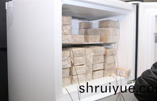 Refrigerator and freezer performance testing